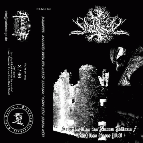 Waldseel : Schatten über der Narren Präsenz - Geist fern dieser Welt